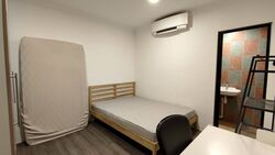 Lorong 42 Geylang (D14), Terrace #569892991
